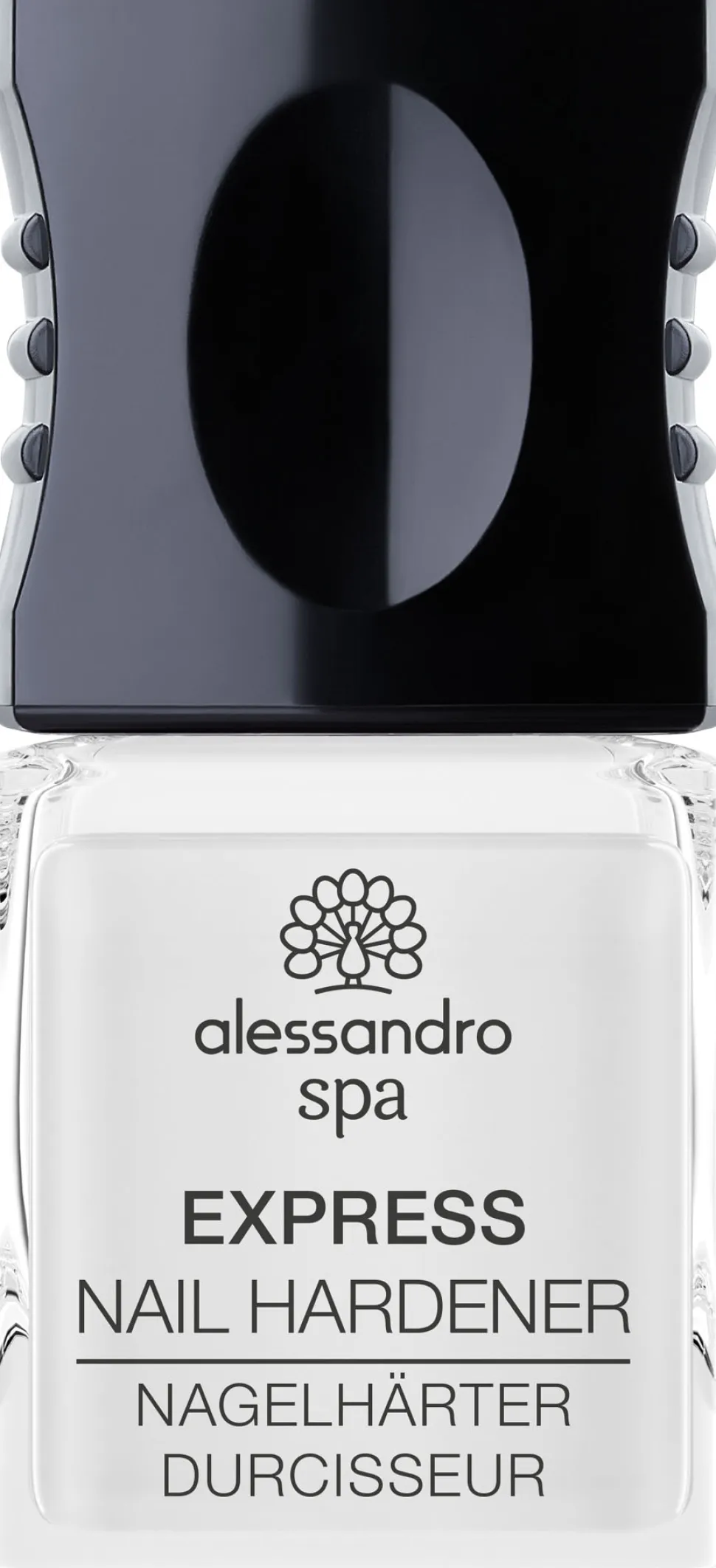 Alessandro