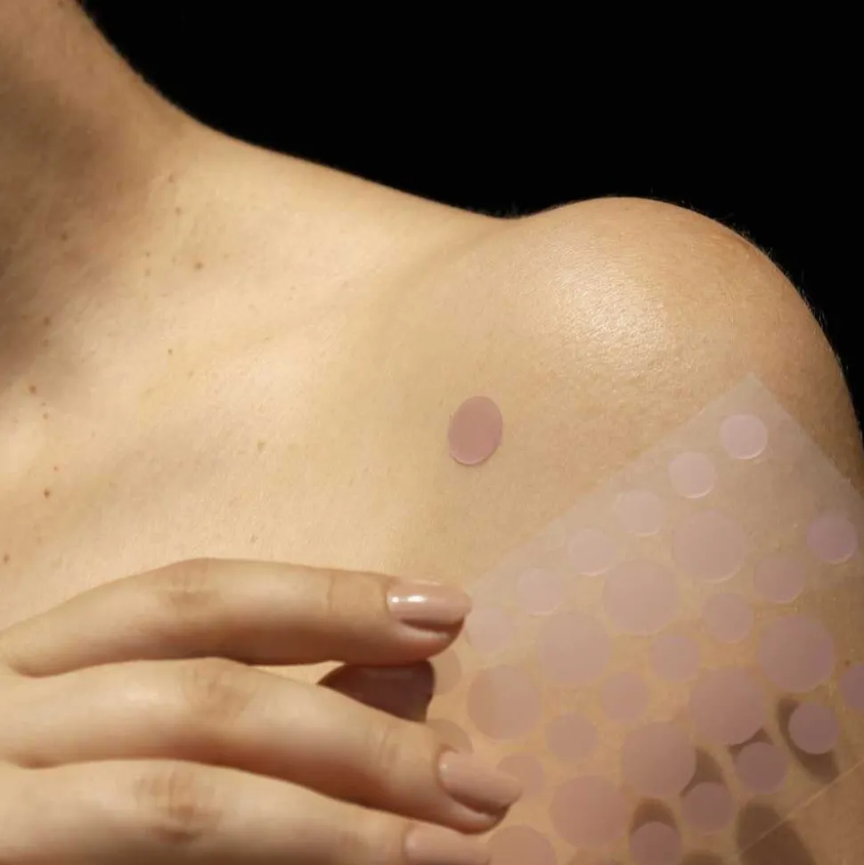 Apricot