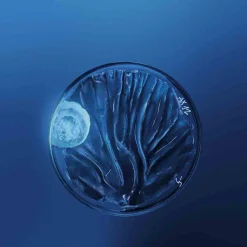 Biotherm