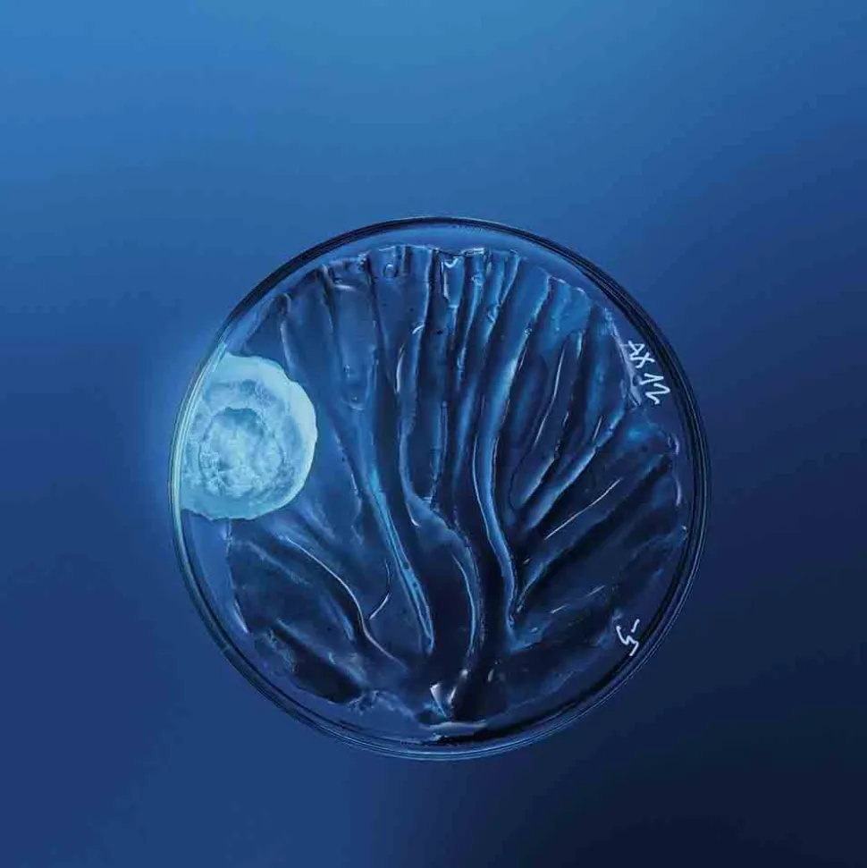 Biotherm