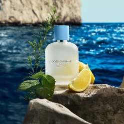 DOLCE&GABBANA