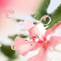 Lancôme