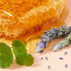 NUXE