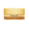 Payot