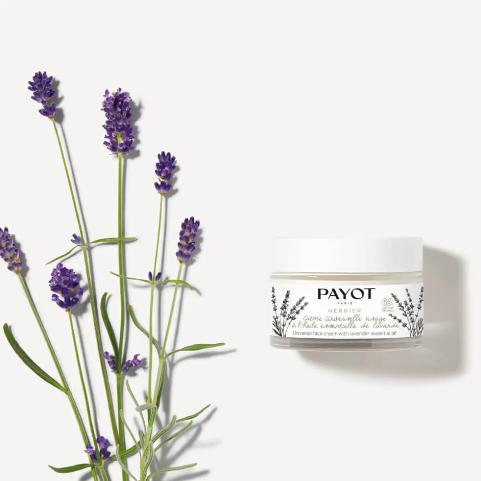 Payot