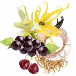Trussardi